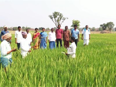 1500-organic-farmers-gather-for-monthly-meetings-on-organic-farming-practices193